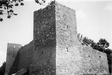Mura castellane con torri